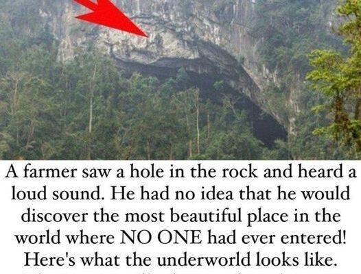 A simple farmer stumbled onto an undiscovered cave!