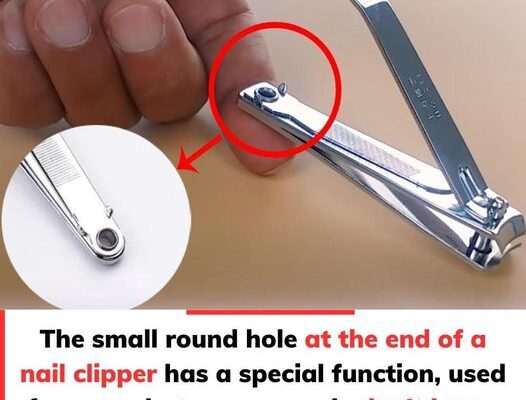 The “small round hole” on the nail clipper has special and powerful uses