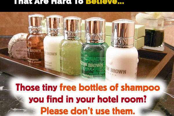 Hacks to turn an ordinary hotel room into cozy retreat