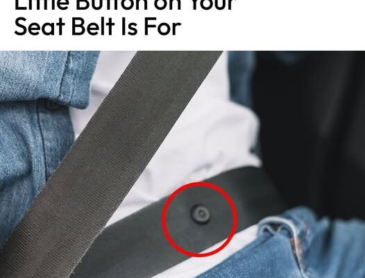 Do You Know What That Little Button on Your Seat Belt Is For?