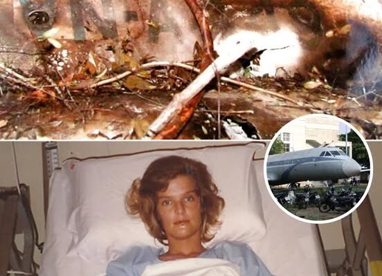 She Boarded the Plane for Love What Happened 50 Minutes Later Changed Her Life Forever