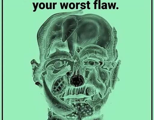 This visual test reveals your ‘worst flaw’ based on the first animal you see