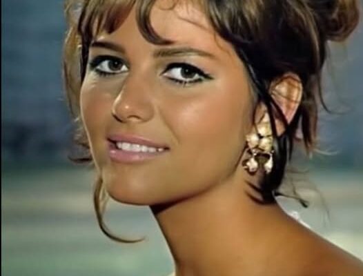 She Was a Hollywood Beauty in the 60s