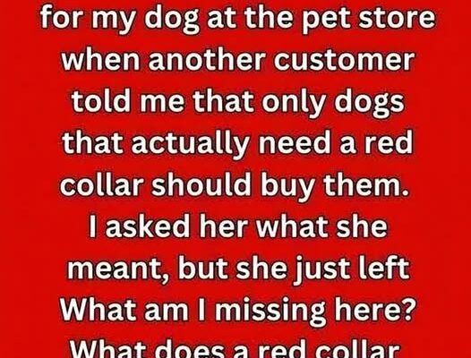 What It Means If You See a Dog with a Red Collar — And Why You Should Pay Attention
