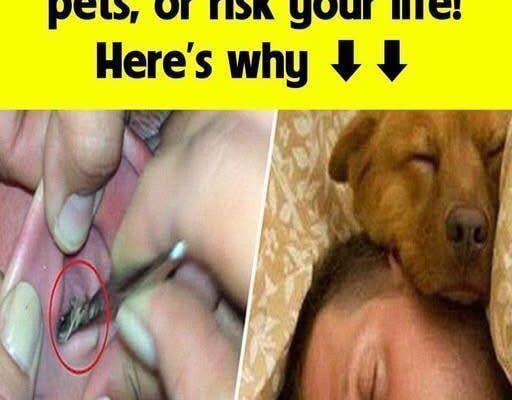 Don’t sleep with your pets, don’t risk your life, here’s why