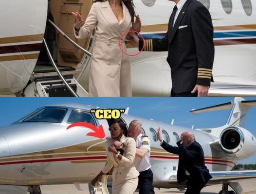 A Woman Denied Flight on Her Own Private Jet – Pilot Fired Instantly When He Learns the Truth…