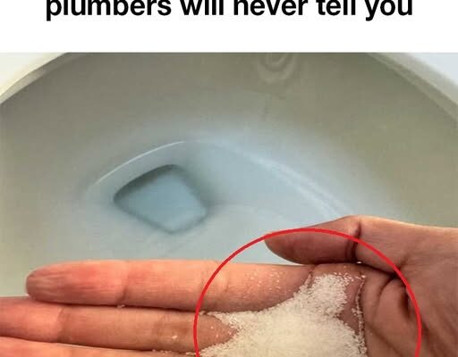 Put salt in your toilet. Here’s why. – Wake Up Your Mind