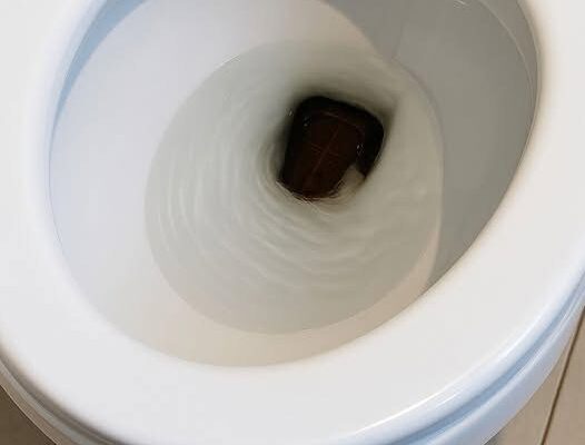 I Lifted the Toilet Lid This Morning and Froze