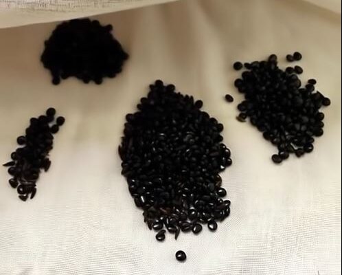 A Secret Under the Mattress and the Truth I Uncovered