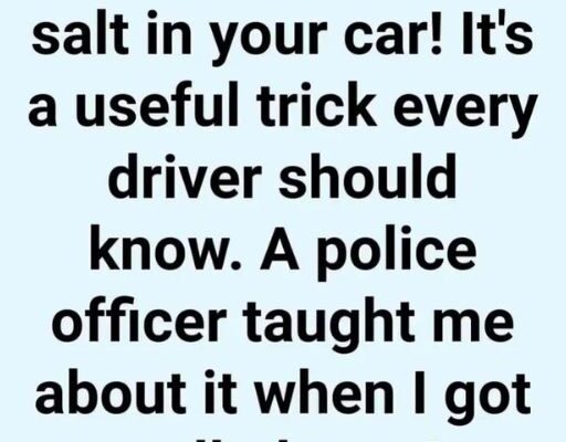 Keep a Glass of Salt in Your Car! It’s a Useful Trick. A Police Officer Taught Me About It When I Got Pulled Over!