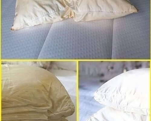 Here’s how to clean dirty bed pillows to leave them white and smelling sweet. The trick is in the first comment